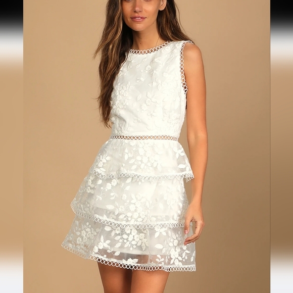 Look So Sweet White Floral Embroidered Organza Mini Dress - Picture 1 of 14